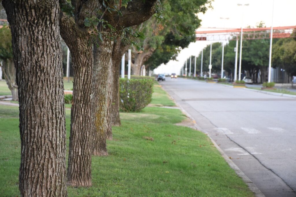 Pueblo de Guatimozín foto 4