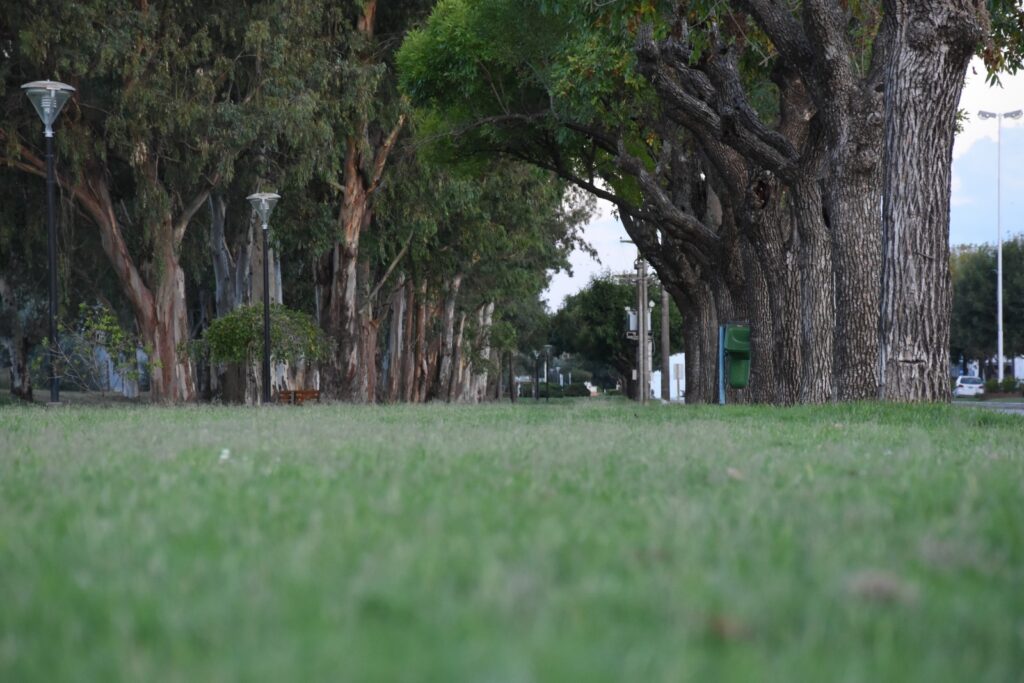 Pueblo de Guatimozín foto 5