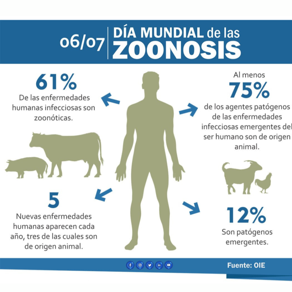 06/07 día mundial de las zoonosis